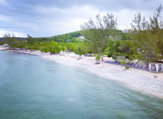 JamXTravel has the best travel experiences in Jamaica